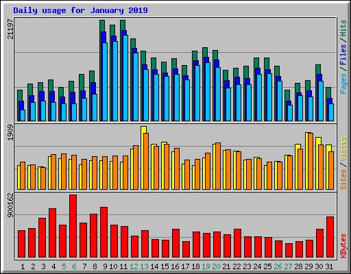 Daily usage for January 2019