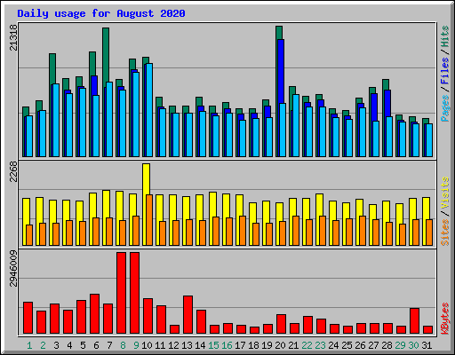 Daily usage for August 2020