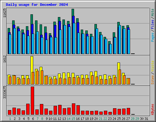 Daily usage for December 2024