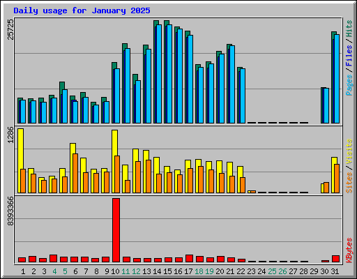 Daily usage for January 2025