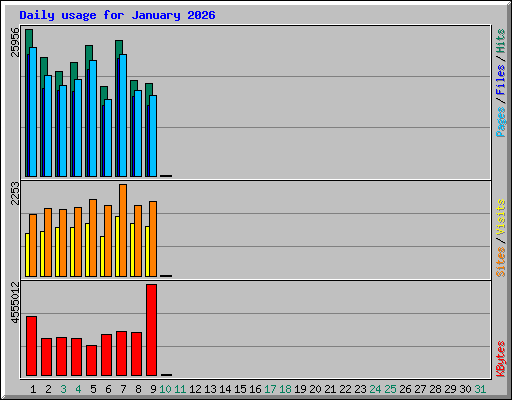 Daily usage for January 2026