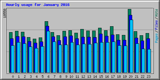 Hourly usage for January 2016