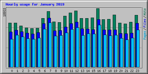 Hourly usage for January 2019