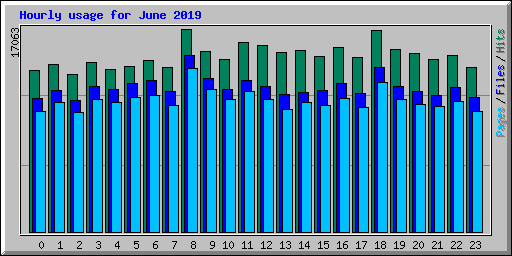 Hourly usage for June 2019