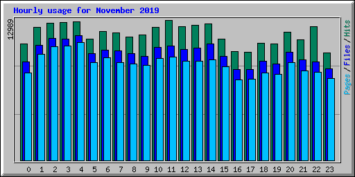 Hourly usage for November 2019