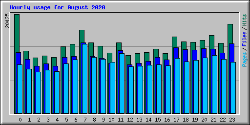 Hourly usage for August 2020