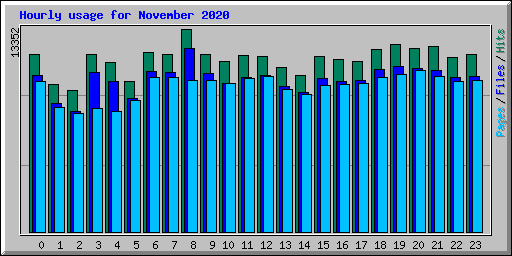 Hourly usage for November 2020