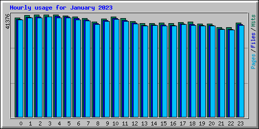 Hourly usage for January 2023