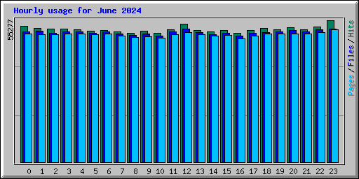 Hourly usage for June 2024