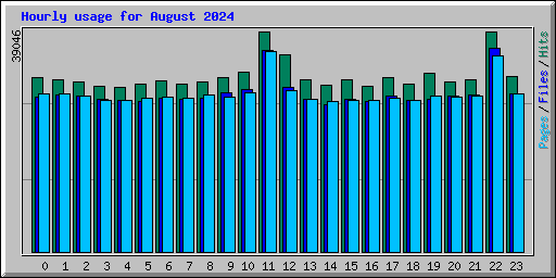 Hourly usage for August 2024