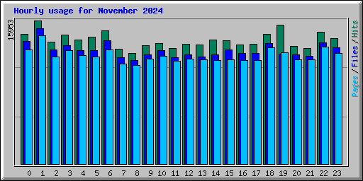 Hourly usage for November 2024