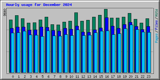 Hourly usage for December 2024