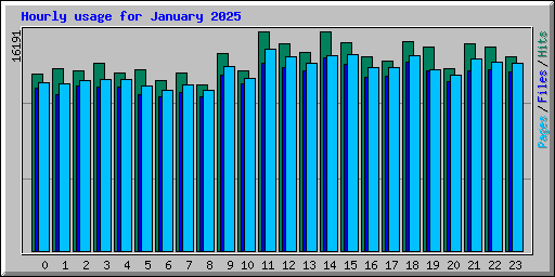 Hourly usage for January 2025