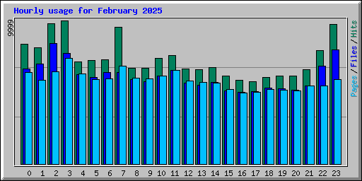 Hourly usage for February 2025