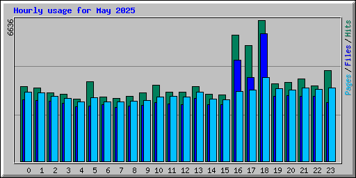 Hourly usage for May 2025