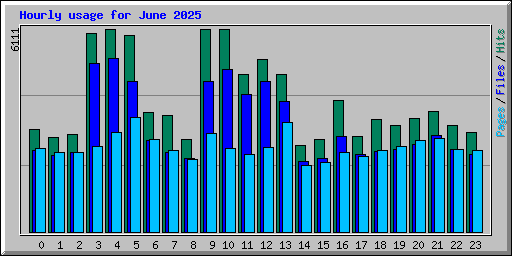 Hourly usage for June 2025