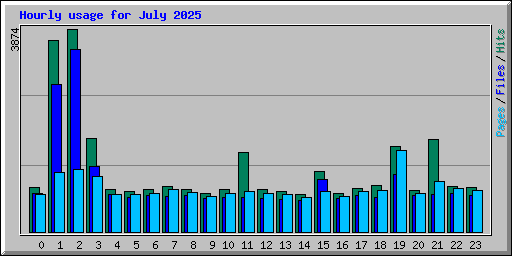 Hourly usage for July 2025