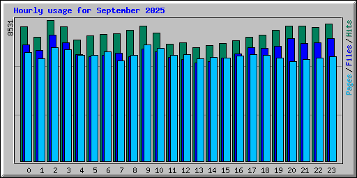 Hourly usage for September 2025