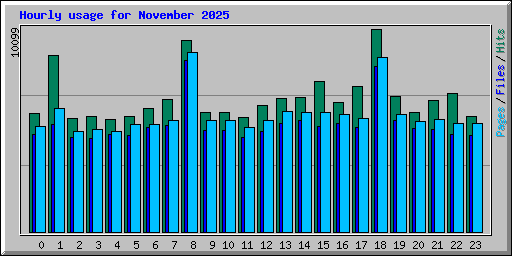 Hourly usage for November 2025