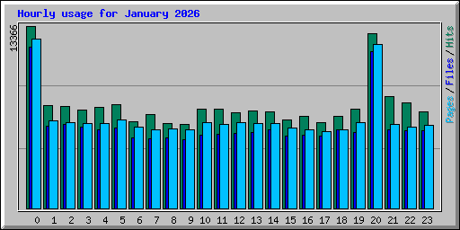 Hourly usage for January 2026
